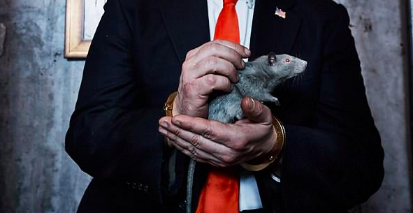 Trump: Surrounded By Rats!